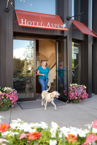 HOTEL ASPEN AND MOLLY GIBSON LODGE Cheap Hotels in Aspen
