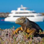 Best-Galapagos-Cruises-728x485-590x393.jpg