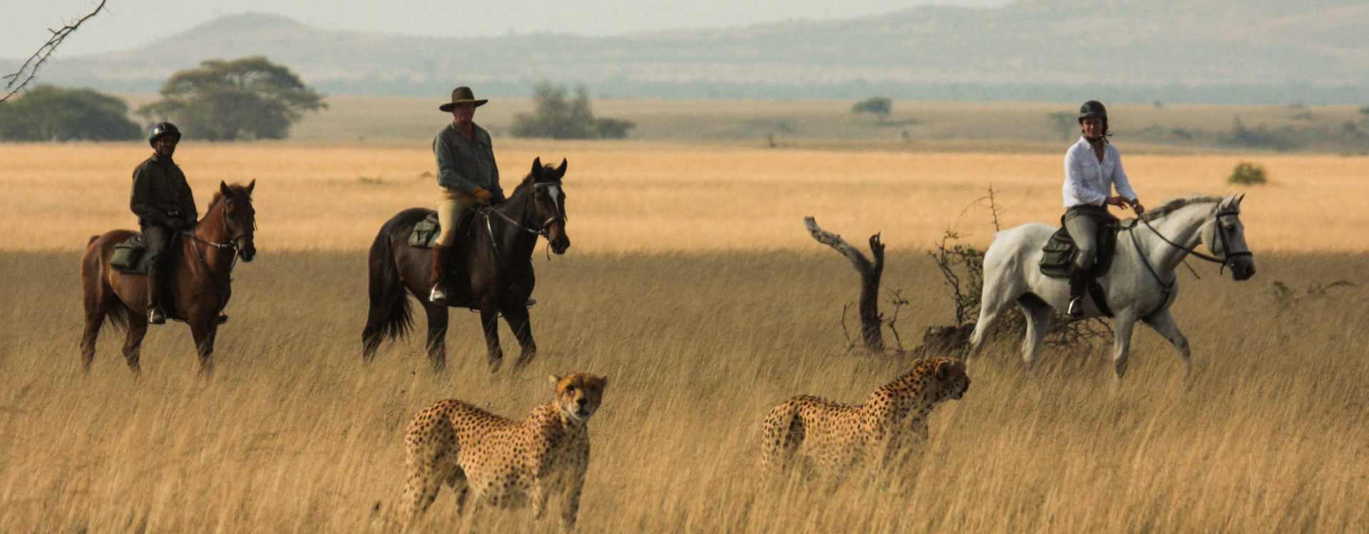 Safari in Africa