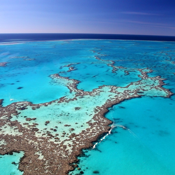 Australia_Great-Barrier-Reef-2-Copy-m9dslbx4vldbjkphy375yujkss5bkc7ywnp1x1mve8.jpg